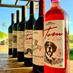 Imagem do WhatsApp de 2025-05-03 à(s) 00.14.29_a6adae42