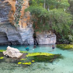 Imagem do WhatsApp de 2025-10-24 à(s) 14.14.40_2af65211