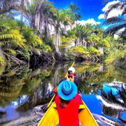 Mini Pantanal Marimbus